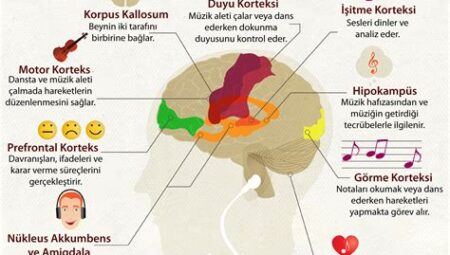 Müzik Dinlerken Beyin Aktivitesi