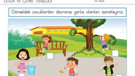 Pop Şarkılarında Çevre ve Doğa Temaları